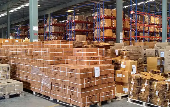 The Stone Sapphire 2024